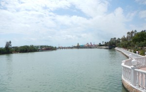 DSCN2646